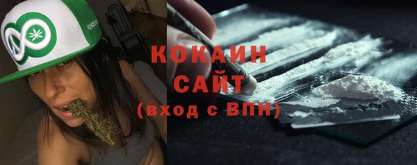ALPHA PVP Заводоуковск
