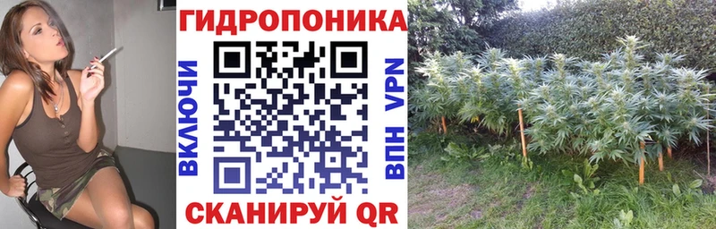 Купить закладки  Лакинск  Конопля Ganja 